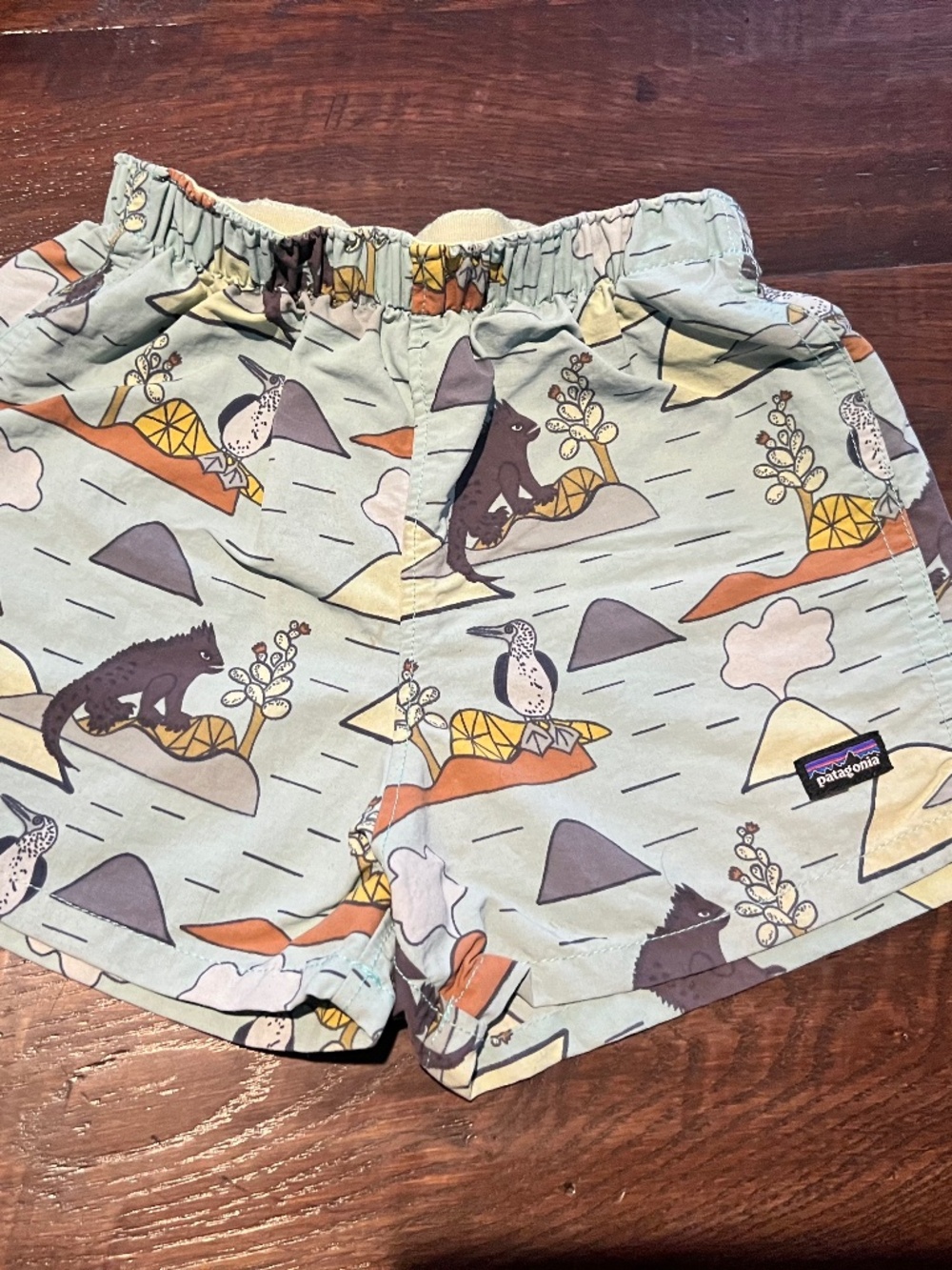 Patagonia baby Baggies Shorts